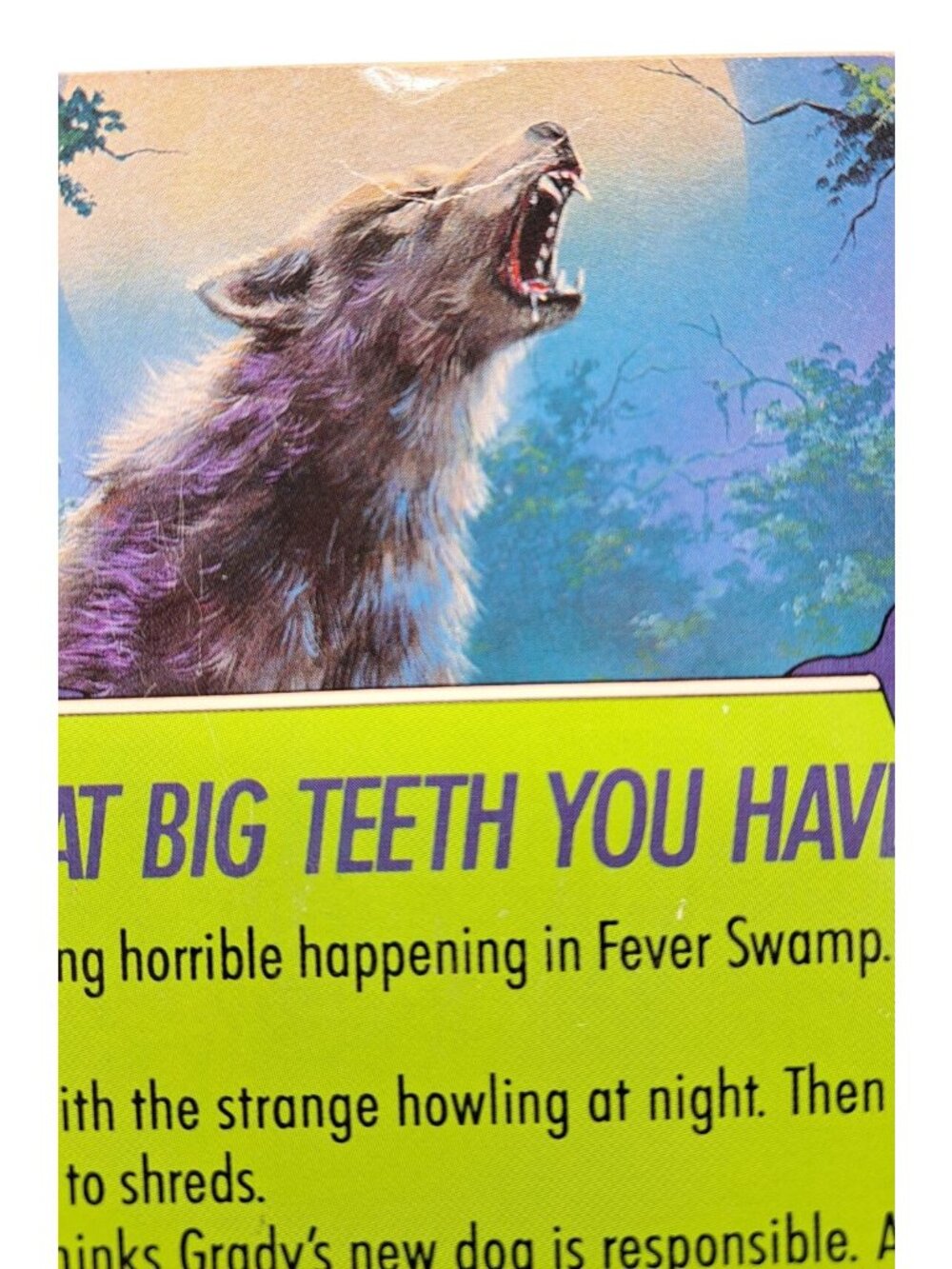 Vintage Goosebumps Books Stine Lot of 2 Piano Lessons Werewolf Swamp 1st Edition - Picture 12 of 13